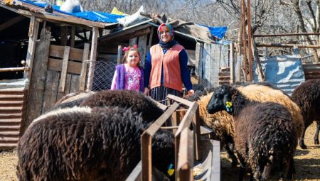 KADINLAR ÜRETİYOR, HAYVANCILIK KIYMETLENİYOR